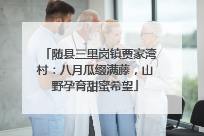 随县三里岗镇贾家湾村：八月瓜缀满藤，山野孕育甜蜜希望