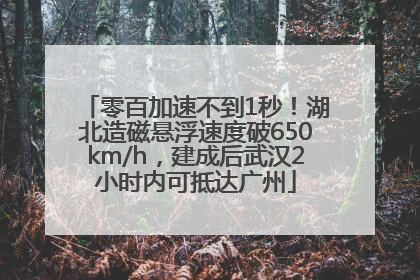零百加速不到1秒！湖北造磁悬浮速度破650km/h，建成后武汉2小时内可抵达广州