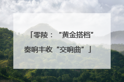 零陵：“黄金搭档”奏响丰收“交响曲”