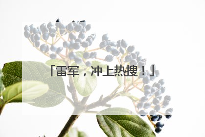 雷军，冲上热搜！