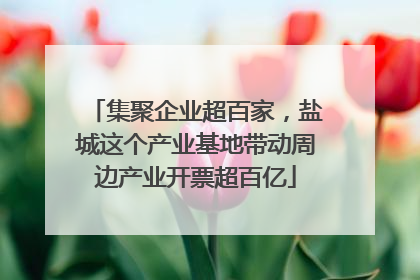 集聚企业超百家，盐城这个产业基地带动周边产业开票超百亿