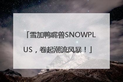 雪加鸭嘴兽SNOWPLUS，卷起潮流风暴！