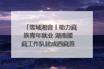 雪域湘音丨助力藏族青年就业 湖南援藏工作队建成西藏首个清洁能源装备园