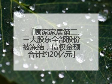 顾家家居第二、三大股东全部股份被冻结，债权金额合计约20亿元