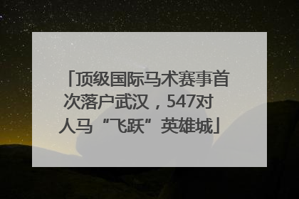 顶级国际马术赛事首次落户武汉，547对人马“飞跃”英雄城