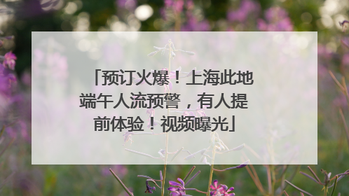 预订火爆！上海此地端午人流预警，有人提前体验！视频曝光
