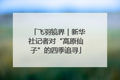 飞羽镜界｜新华社记者对“高原仙子”的四季追寻