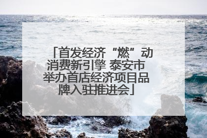 首发经济“燃”动消费新引擎 泰安市举办首店经济项目品牌入驻推进会