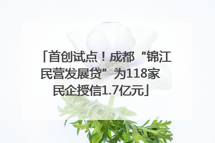 首创试点！成都“锦江民营发展贷”为118家民企授信1.7亿元