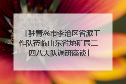 驻青岛市李沧区省派工作队莅临山东省地矿局二四八大队调研座谈