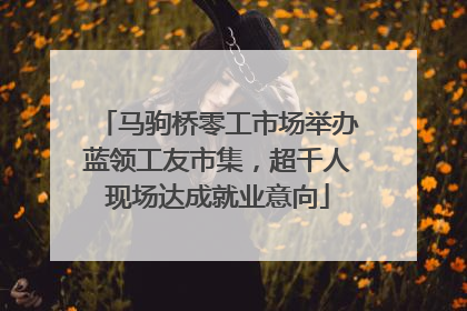 马驹桥零工市场举办蓝领工友市集，超千人现场达成就业意向