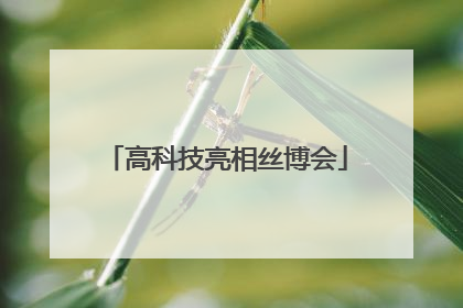 高科技亮相丝博会