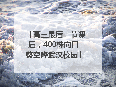 高三最后一节课后，400株向日葵空降武汉校园