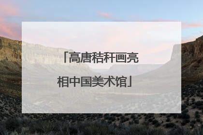 高唐秸秆画亮相中国美术馆