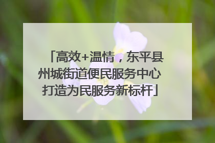 高效+温情，东平县州城街道便民服务中心打造为民服务新标杆