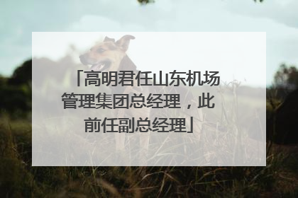 高明君任山东机场管理集团总经理，此前任副总经理