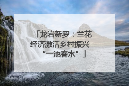 龙岩新罗：兰花经济激活乡村振兴“一池春水”