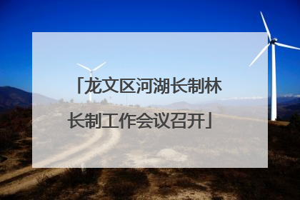 龙文区河湖长制林长制工作会议召开