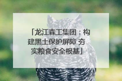 龙江森工集团：构建黑土保护屏障 夯实粮食安全根基