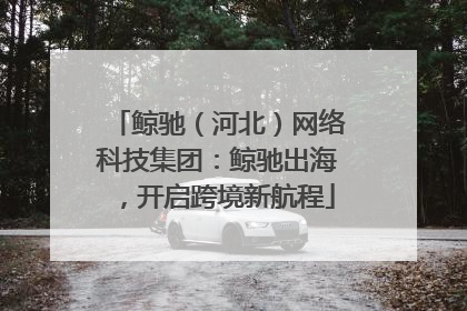 鲸驰（河北）网络科技集团：鲸驰出海，开启跨境新航程