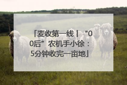 麦收第一线丨“00后”农机手小徐：5分钟收完一亩地