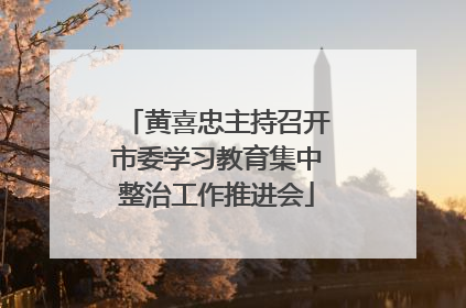 黄喜忠主持召开市委学习教育集中整治工作推进会