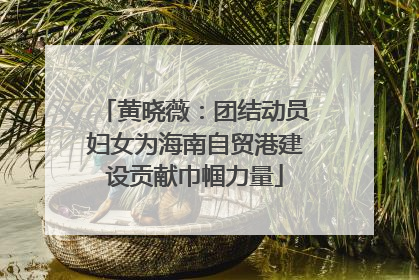 黄晓薇：团结动员妇女为海南自贸港建设贡献巾帼力量