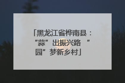 黑龙江省桦南县：“蒜”出振兴路 “园”梦新乡村