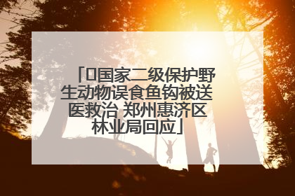 ﻿国家二级保护野生动物误食鱼钩被送医救治 郑州惠济区林业局回应