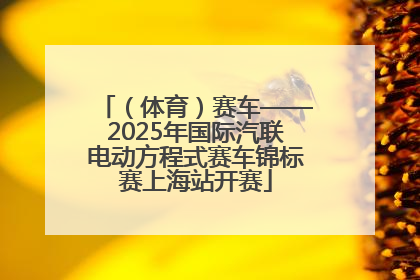 （体育）赛车——2025年国际汽联电动方程式赛车锦标赛上海站开赛