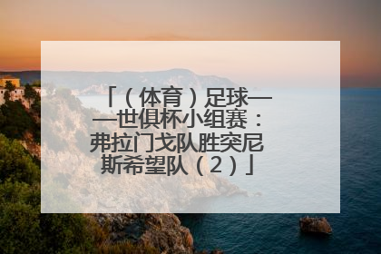 （体育）足球——世俱杯小组赛：弗拉门戈队胜突尼斯希望队（2）