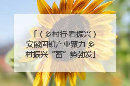 （乡村行·看振兴）安徽固镇产业聚力 乡村振兴“畜”势勃发