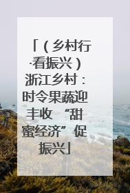 （乡村行·看振兴）浙江乡村：时令果蔬迎丰收 “甜蜜经济”促振兴