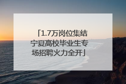 1.7万岗位集结 宁夏高校毕业生专场招聘火力全开
