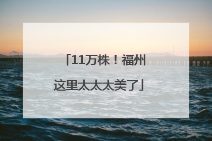11万株！福州这里太太太美了