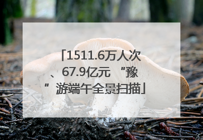 1511.6万人次、67.9亿元 “豫”游端午全景扫描