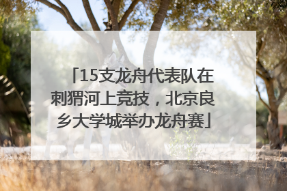 15支龙舟代表队在刺猬河上竞技，北京良乡大学城举办龙舟赛