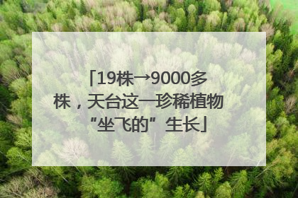 19株→9000多株，天台这一珍稀植物“坐飞的”生长
