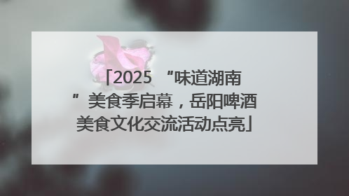 2025 “味道湖南”美食季启幕，岳阳啤酒美食文化交流活动点亮