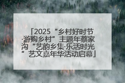 2025“乡村好时节·游购乡村”主题年蔡家沟“艺韵乡集·乐活时光”艺文嘉年华活动启幕