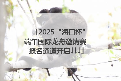 2025“海口杯”端午国际龙舟邀请赛 报名通道开启↓↓↓