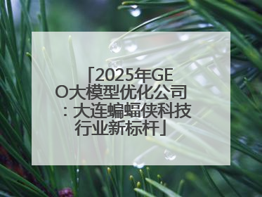 2025年GEO大模型优化公司：大连蝙蝠侠科技行业新标杆