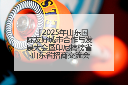 2025年山东国际友好城市合作与发展大会暨印尼楠榜省·山东省招商交流会在济南槐荫举行
