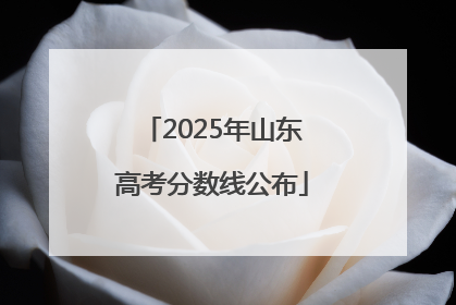2025年山东高考分数线公布