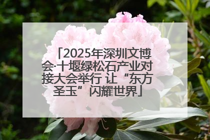 2025年深圳文博会·十堰绿松石产业对接大会举行 让“东方圣玉”闪耀世界