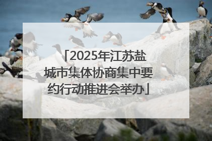 2025年江苏盐城市集体协商集中要约行动推进会举办