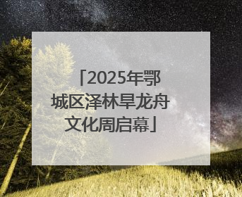 2025年鄂城区泽林旱龙舟文化周启幕