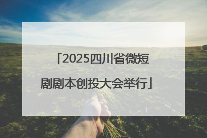 2025四川省微短剧剧本创投大会举行