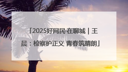 2025好网民·在聊城｜王晨：检察护正义 青春筑晴朗