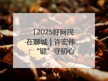 2025好网民·在聊城｜许宏伟：“键”守初心 “网”护平安
